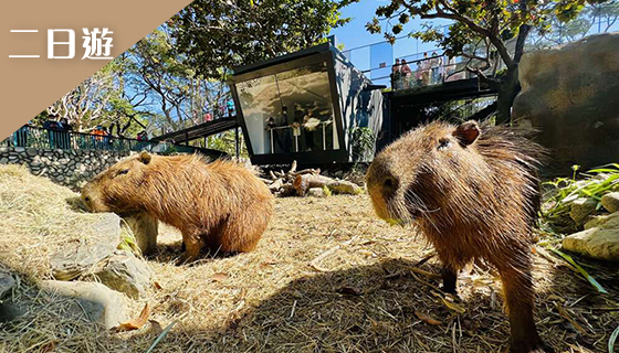 港灣海風・動物樂園輕旅行 二日遊