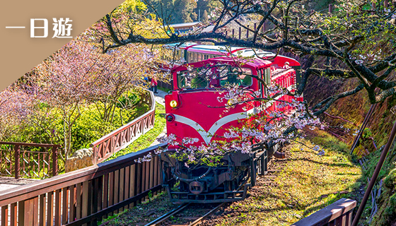 阿里山森林鐵道－巨木群棧道