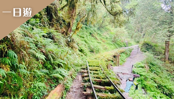 青山寧靜宜蘭太平山森林