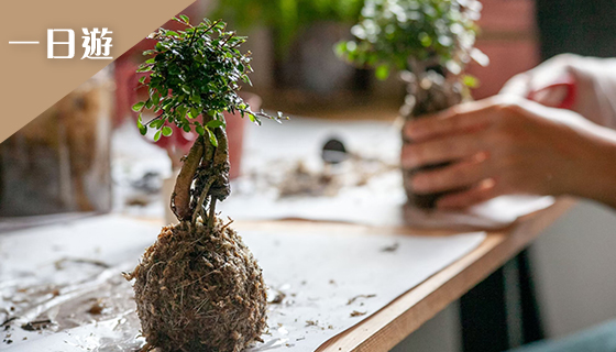 阿罩霧林家花園. 古蹟巡禮