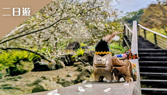 奮起湖+阿里山二日