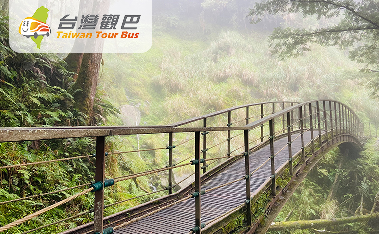 青山寧靜．宜蘭太平山森林