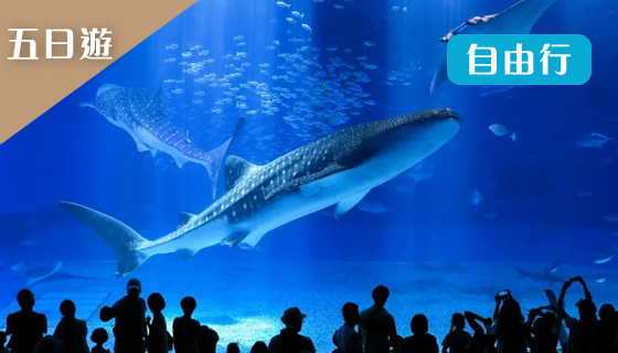 【泰越捷.桃園】沖繩機加酒自由行