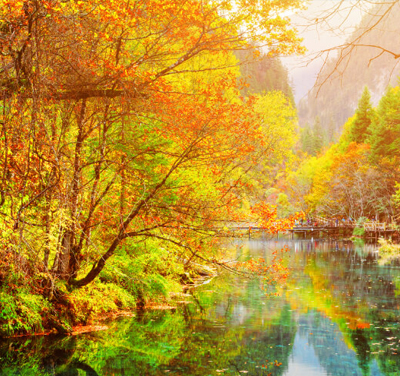 出發日期【6/19、7/17、8/14】