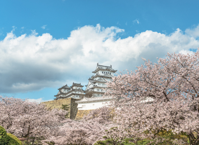 九州櫻花戀~五日遊